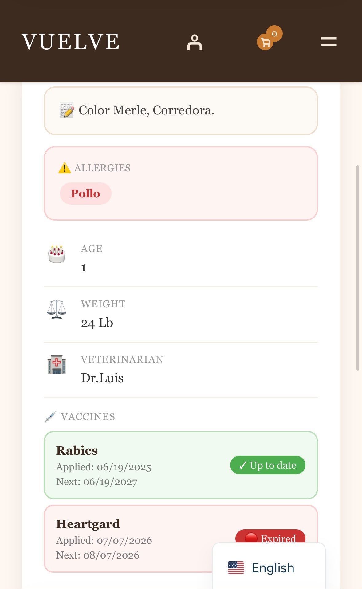 Vuelve ID digital profile, screen 2